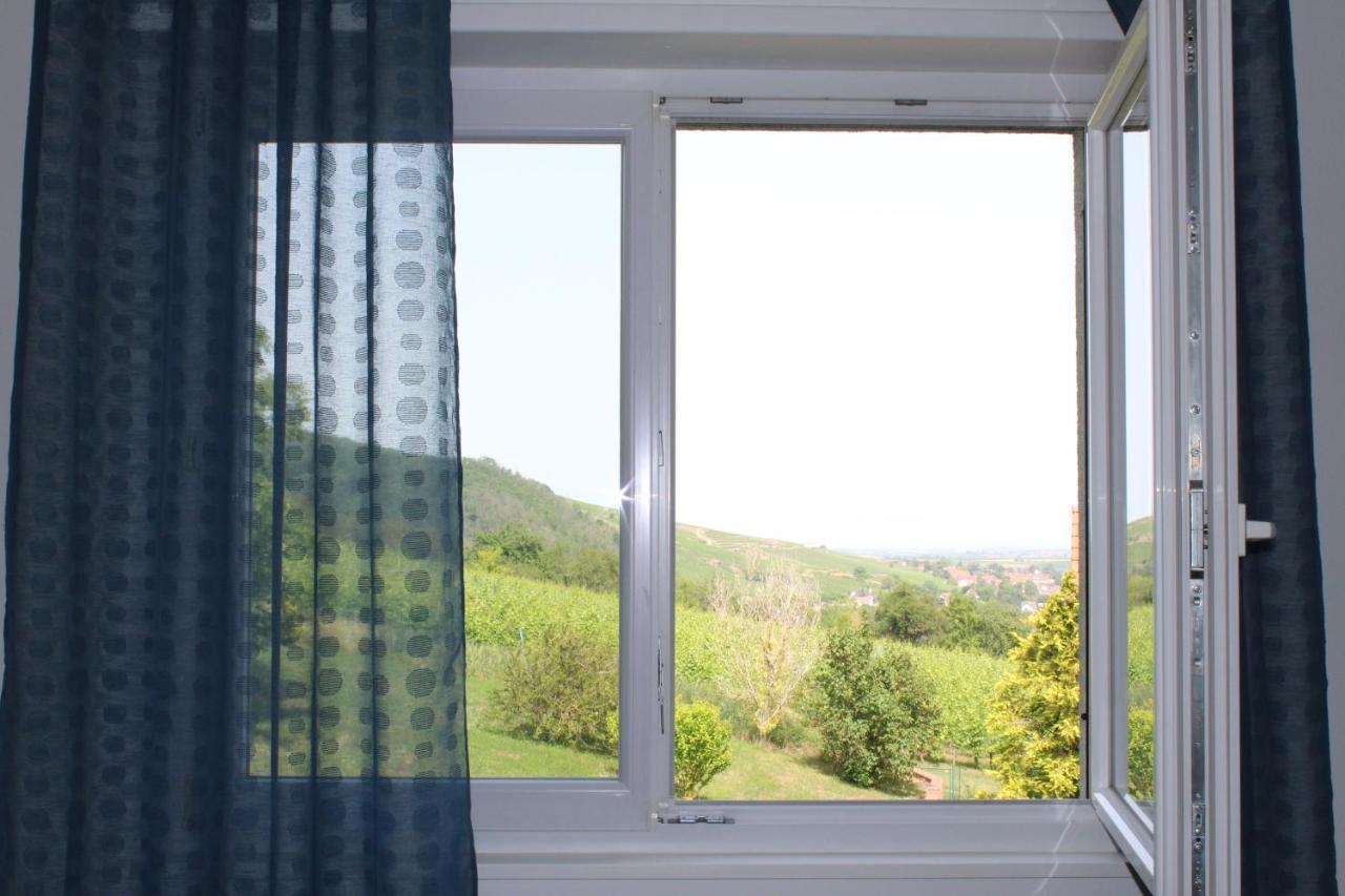 A L'Oree Des Vignes, Superbe Logement De 80 M2 Wangen Luaran gambar