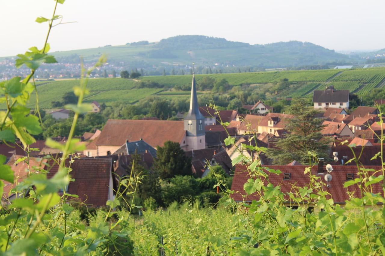 A L'Oree Des Vignes, Superbe Logement De 80 M2 Wangen Luaran gambar